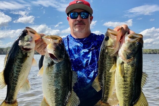 Latest Lake Blackshear Fishing Reports - Lake Blackshear Fishing