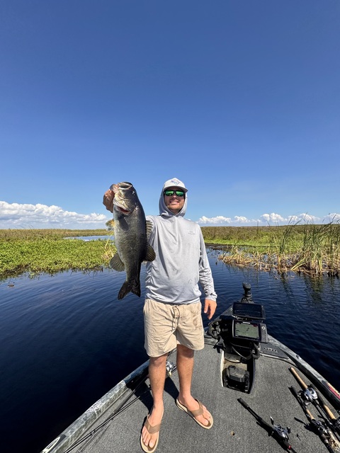 Lake BlackShear fishing